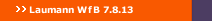 Laumann WfB 7.8.13