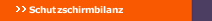 Schutzschirmbilanz